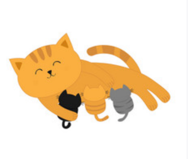 Immagine per la categoria CROCCHETTE KITTEN CUCCIOLI