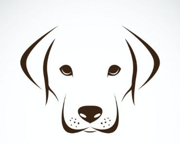 Immagine per la categoria ALIMENTI CANE
