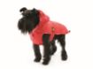 BOMBER FODERATO ROSSO PER CANI  FASHIONDOG 138
