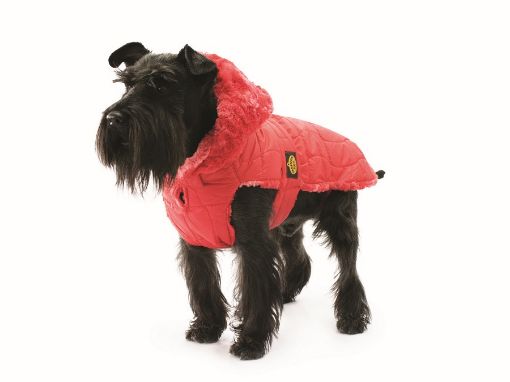 BOMBER FODERATO ROSSO PER CANI  FASHIONDOG 138