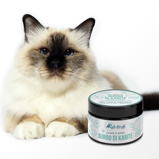 BURRO DI KARITE 50 ML  CREMA PER ZAMPE NASO CALLI Per cani e gatti