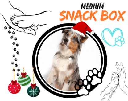 CHRISTMAS BOX  MEDIUM LELEPETSHOP + DONAZIONE 2 KG CIBO AL RIFUGIO MABELLO 