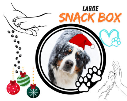 CHRISTMAS BOX  LARGE LELEPETSHOP + DONAZIONE 2 KG CIBO AL RIFUGIO MABELLO 