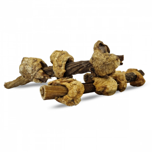 500 GR KEBAB TRIPPA INTRECCIATA CON POLMONE 