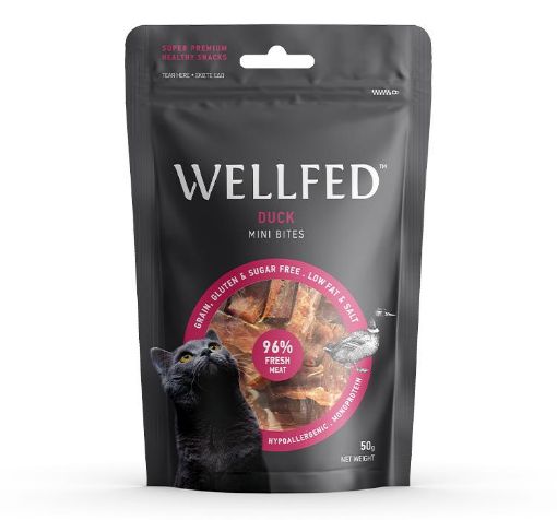 50 GR MINI BITES ANATRA  SNACK GATTO WELLFED
