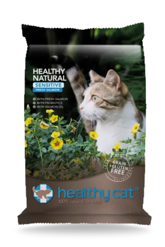 HEALTHYCAT SALMONE GATTO 4 kg GRAIN FREE kitten e adult