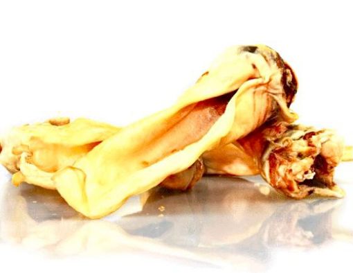 ORECCHIA CERVO SFUSA