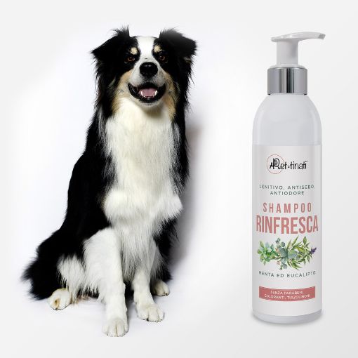 SHAMPOO PROFESSIONALE RINFRESCA  250 ML ANTIODORE