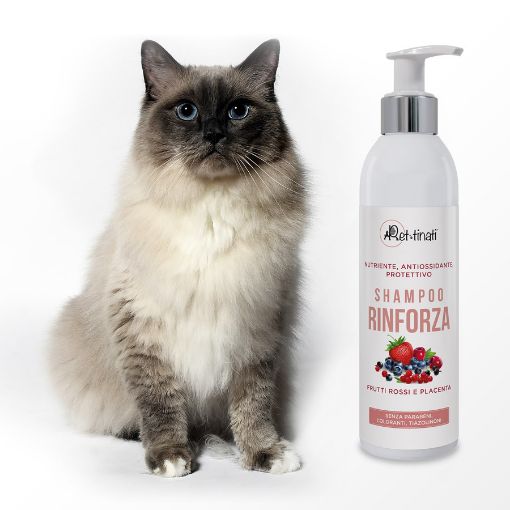 SHAMPOO PROFESSIONALE RINFORZA 250 ML AI FRUTTI ROSSI E PLACENTA