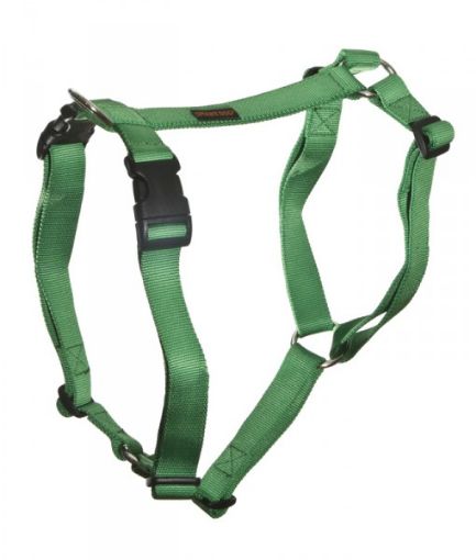 PETTORINA AD H CAMON VERDE F027 68~84 cm 